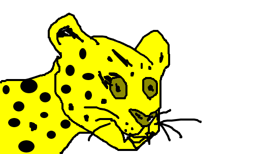 o leopardo