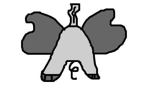 elefante de trás