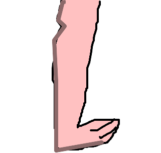 perna