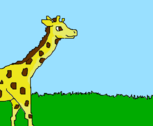 Girafa he he 