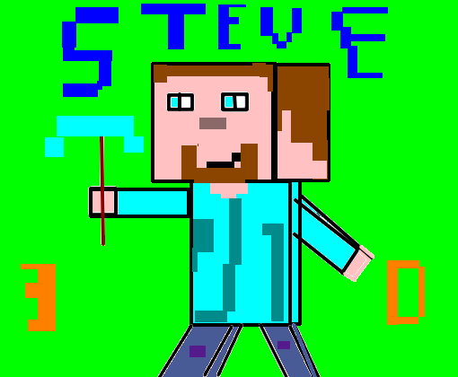 Steve 3D
