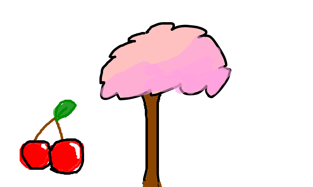 cerejeira