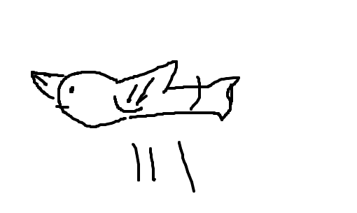 peixe-voador