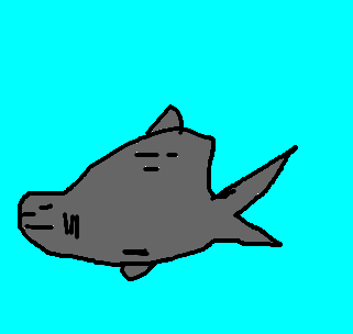 tubarão-tigre