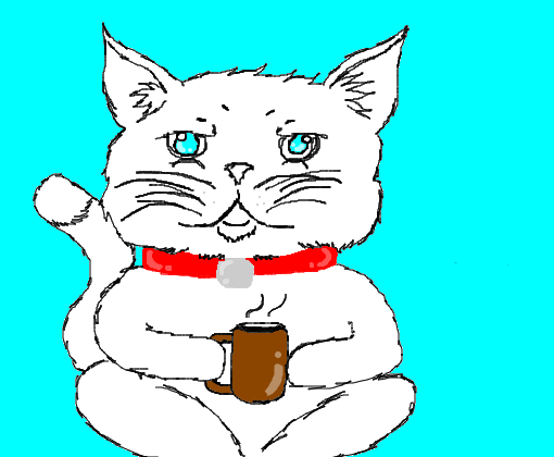Gato do café
