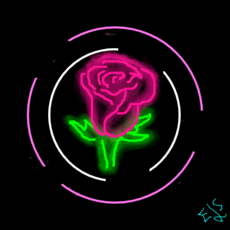 Rosa Neon