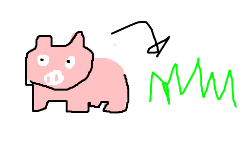 porco-do-mato