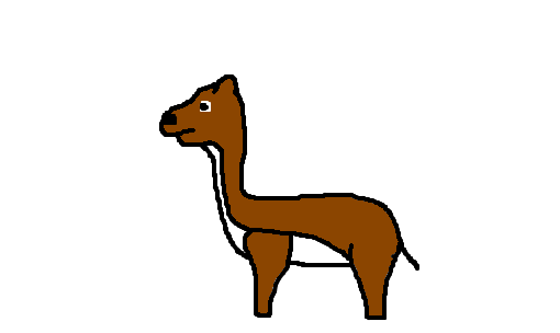 guanaco