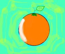 citrus yuko