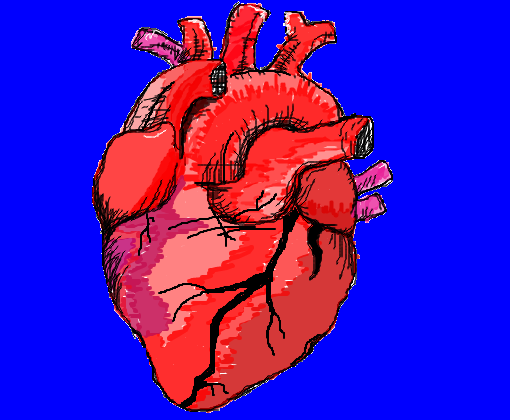 coração humano