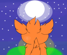 A Fox,A Moon