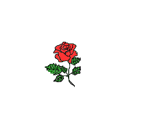 Rosa - Desenho#1