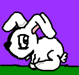 rabbit *-*