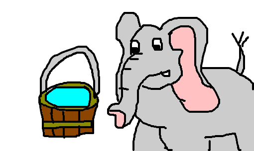 água para elefantes