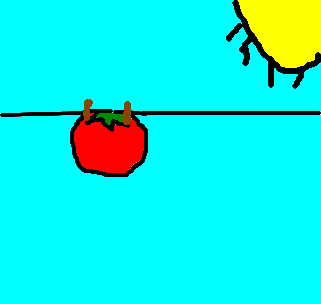 tomate seco