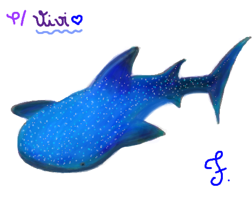 Tubarão-baleia p/ ViviJoy