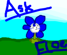 Ask Floe!