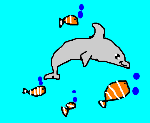 golfinho e peixes