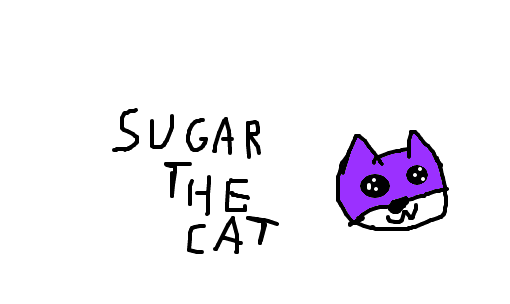 sugar the cat