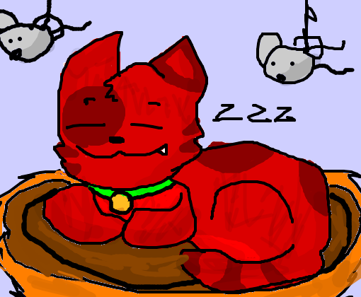 foxy.jr dormindo 