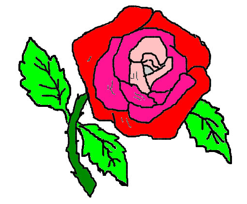 Minha rosa colorida