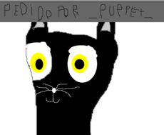 gato preto p/_puppet_