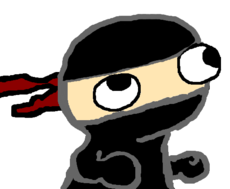 Ninja Fsjal
