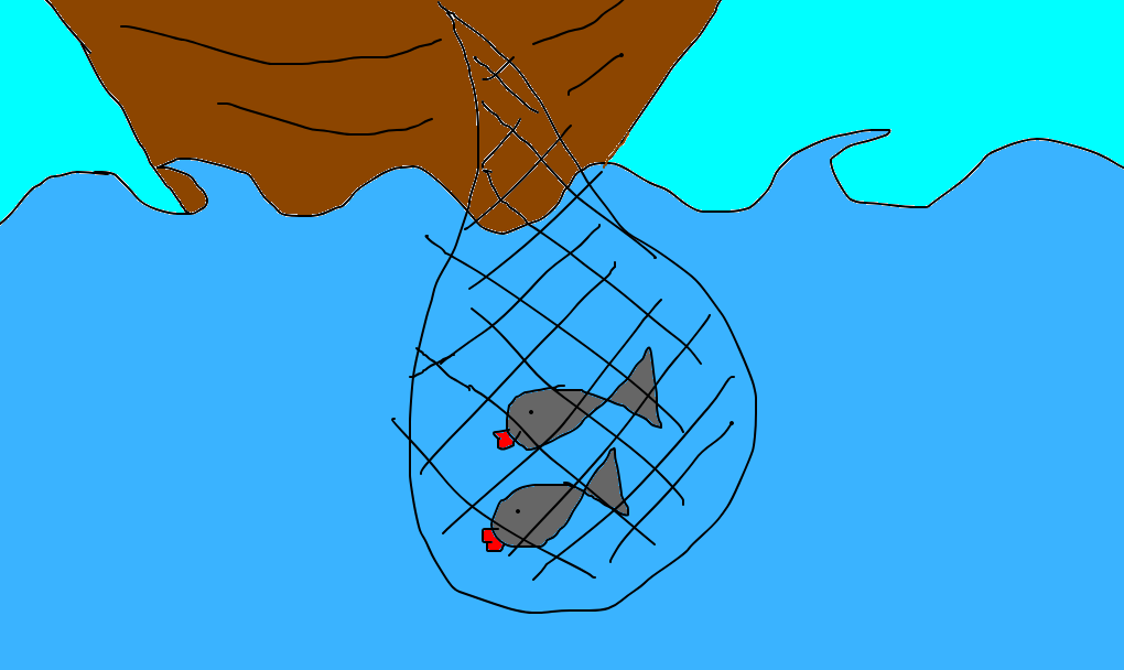 rede de pesca
