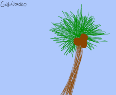 A Palmeira