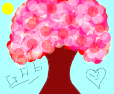 Cherry tree 