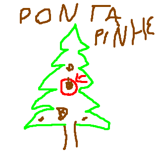pinha