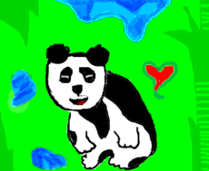pandas2
