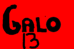 Galo13