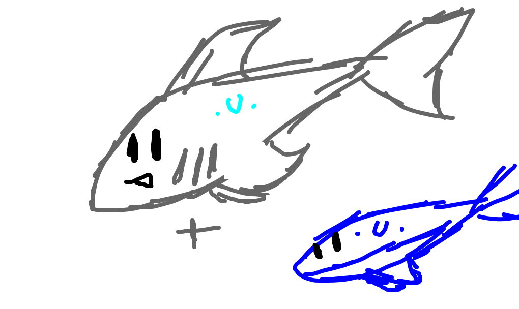 tubarão-baleia