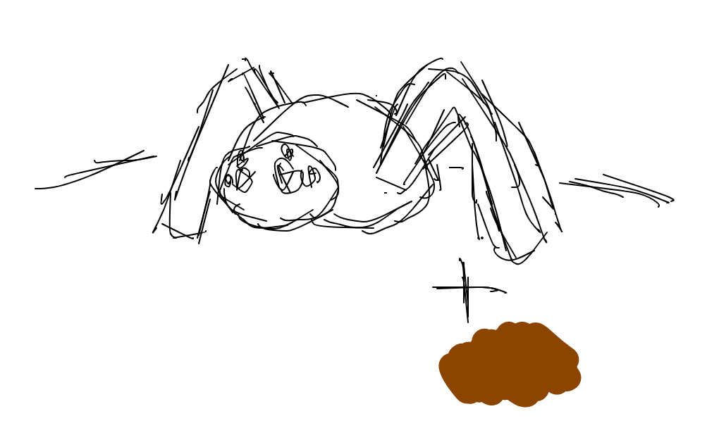 aranha-marrom