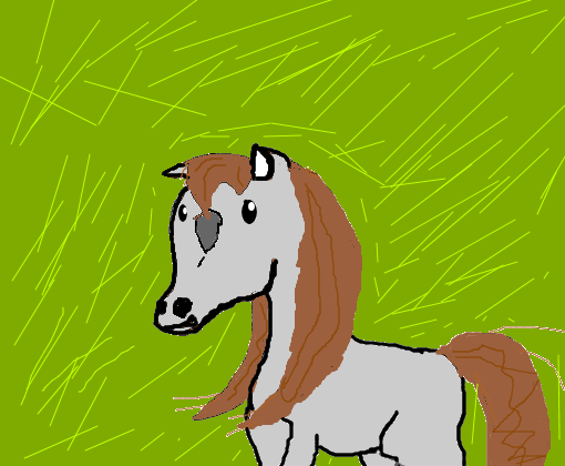 cavalo no pasto