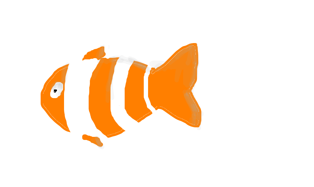 peixe-palhaço