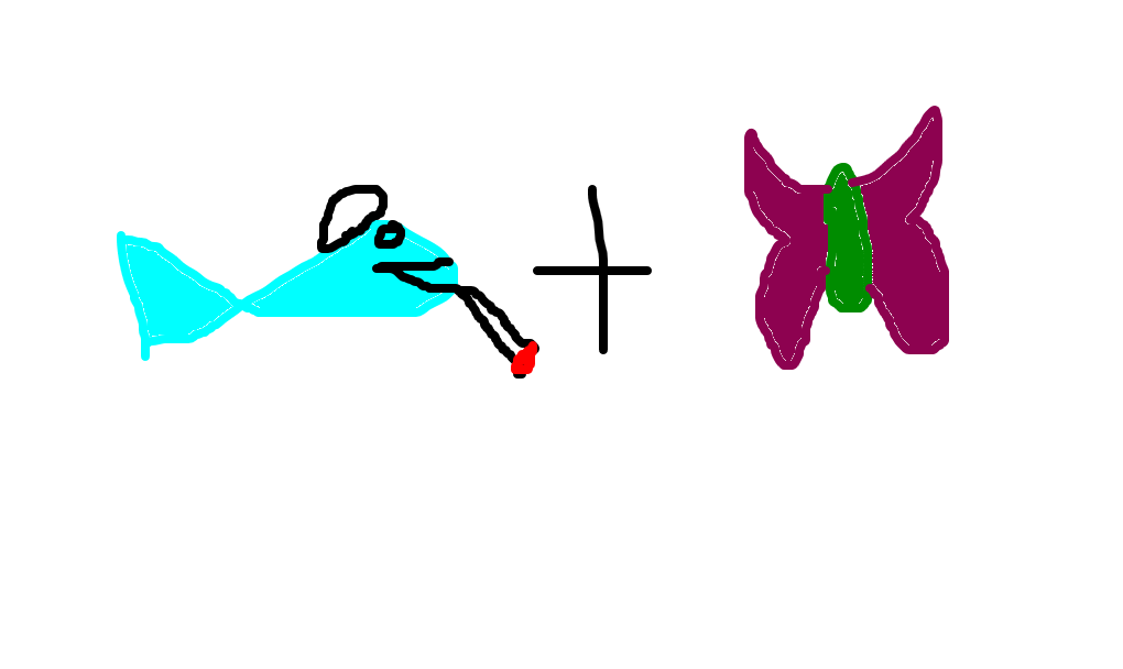 peixe-borboleta