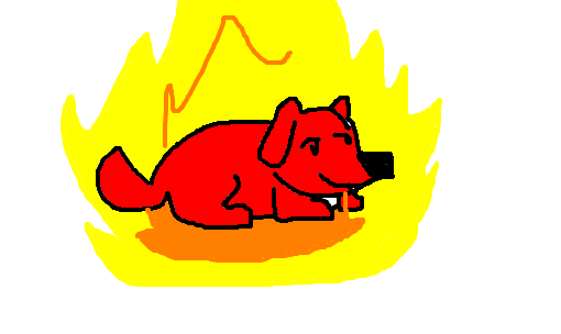 cachorro-quente