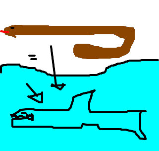 tubarão-cobra