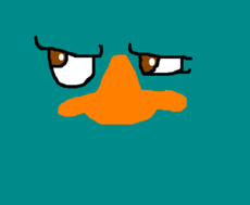 perry ksks
