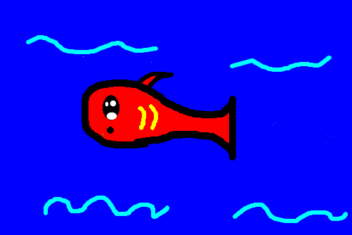 Peixe vermelho da África Ocidental
