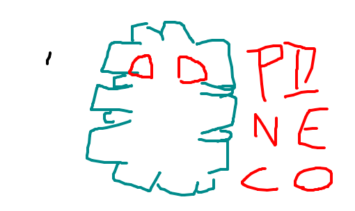 pineco
