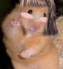 hamsterstyle