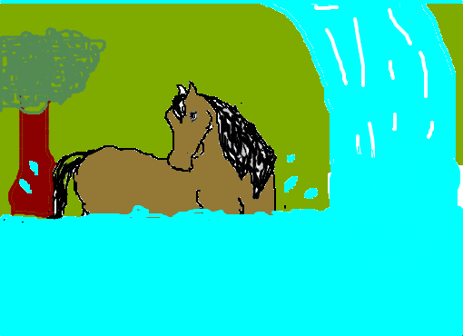 Cavalo na água