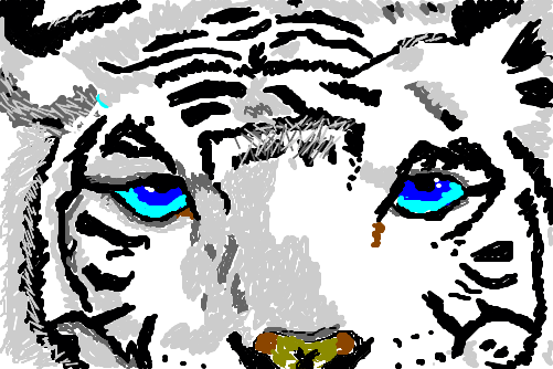 Siberian Tiger ^^