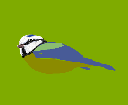 Bird 1