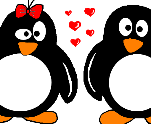 Pinguins apaixonados