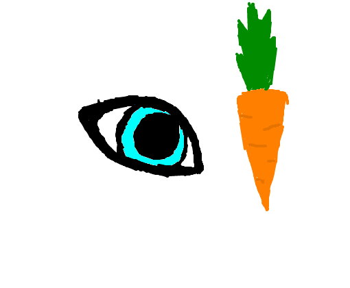 De olho na cenoura marota