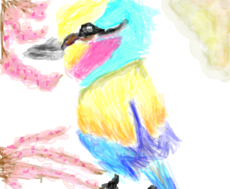 Sakura Bird